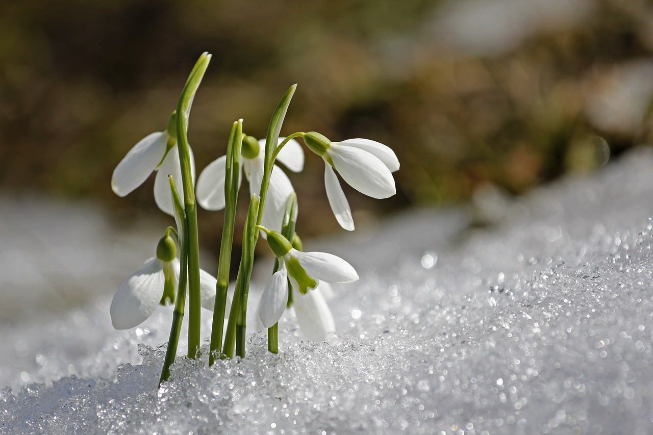 Refreshing Spring Themes For Your Next Art Project